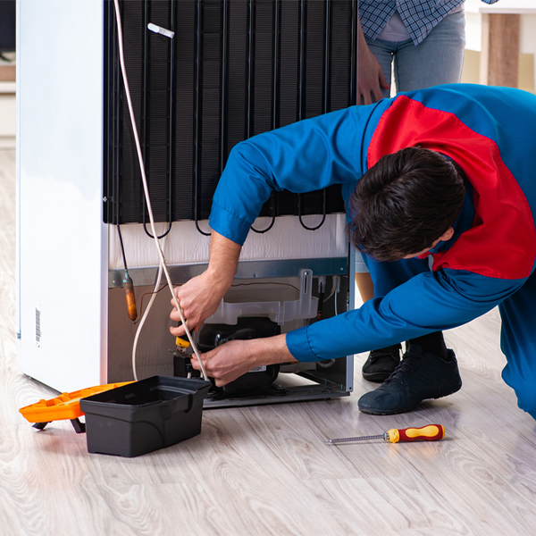 is it cost-effective to repair a refrigerator or replace it entirely in Sea Cliff